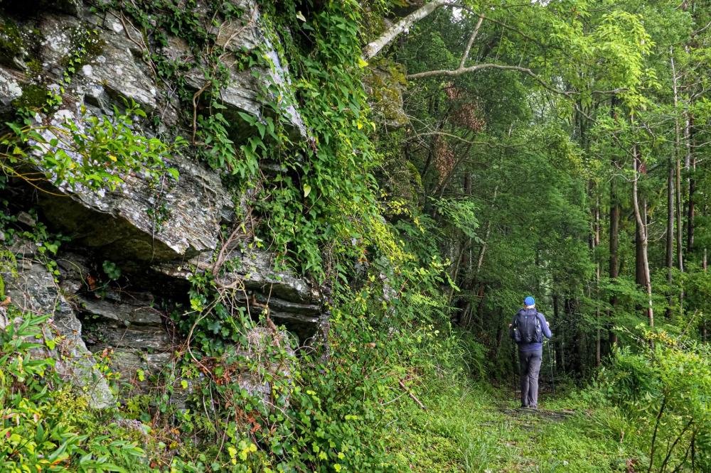🌳 경신산 종합공원(고신야마 소고 코엔) 이미지 4